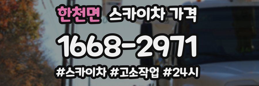 한천면 스카이차 가격