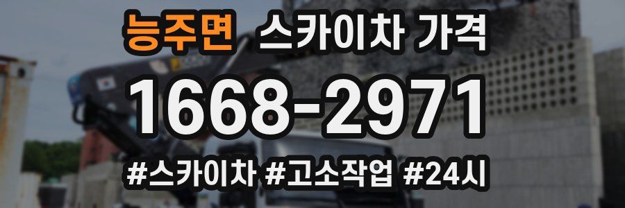 능주면 스카이차 가격
