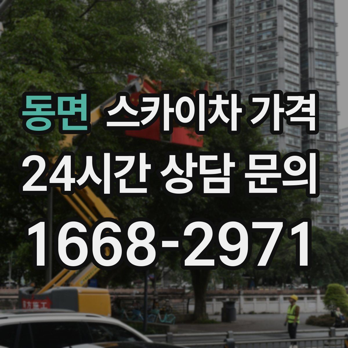 동면 스카이차 가격 대기 시간 발생 여부을 줄이는 가장 현실적인 방법