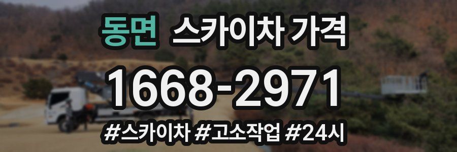 동면 스카이차 가격