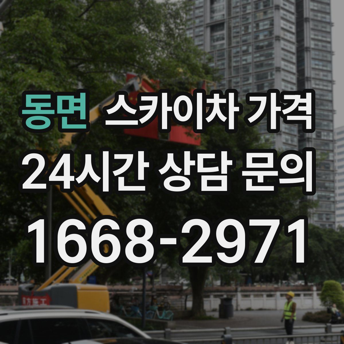 동면 스카이차 가격