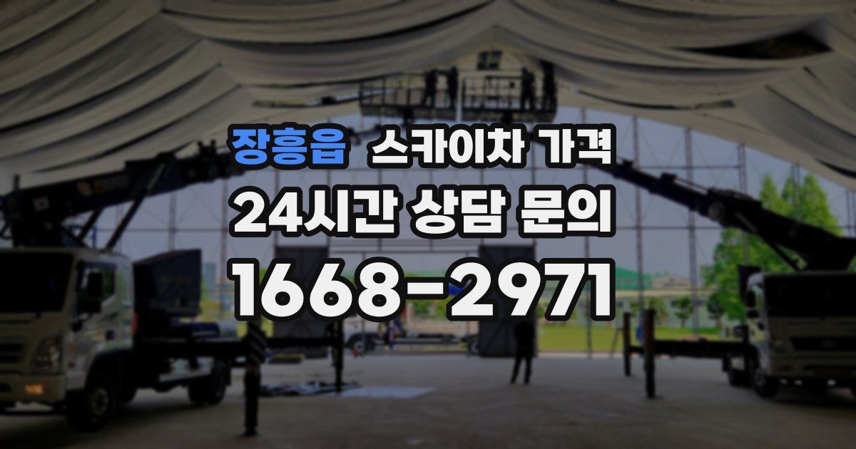 장흥읍 스카이차 가격