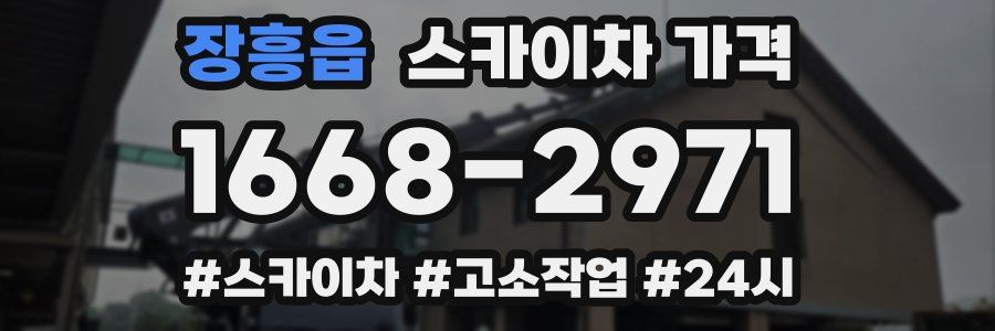 장흥읍 스카이차 가격