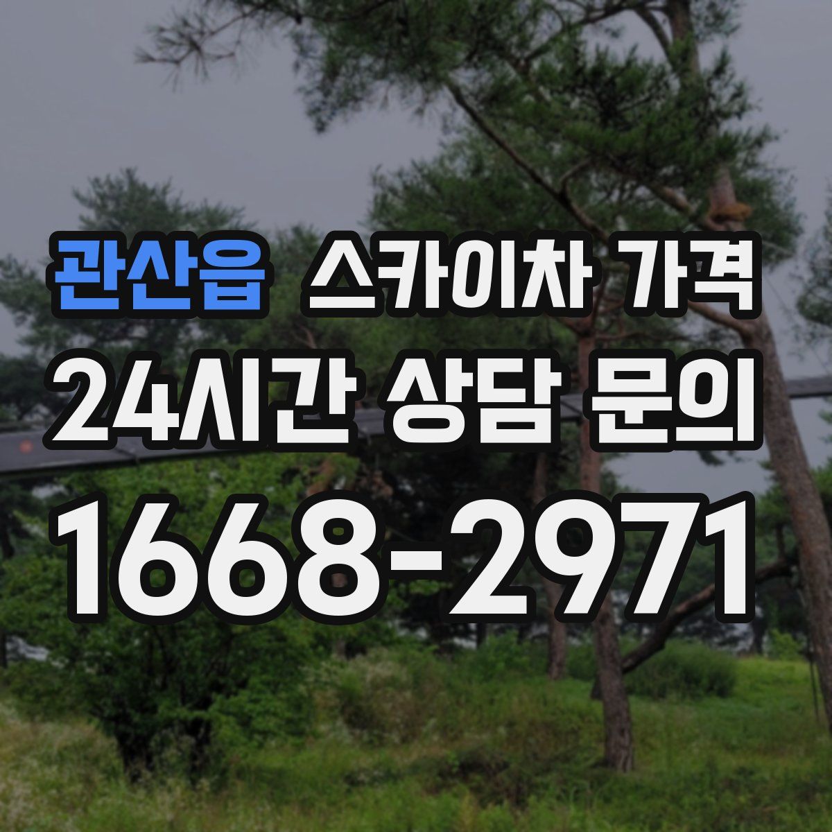 관산읍 스카이차 가격