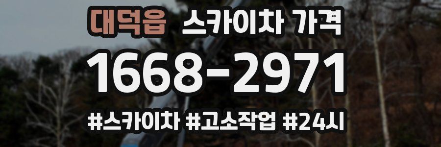 대덕읍 스카이차 가격