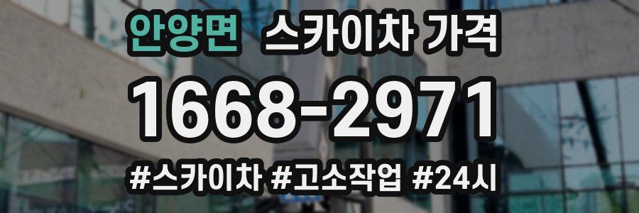 안양면 스카이차 가격