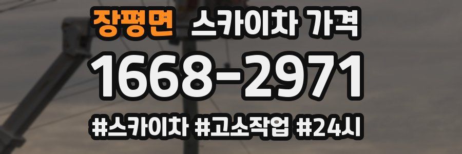 장평면 스카이차 가격