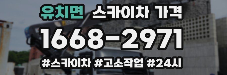 유치면 스카이차 가격