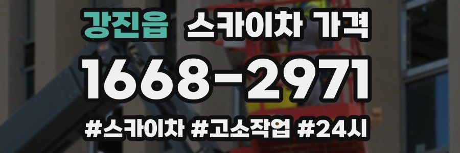 강진읍 스카이차 가격