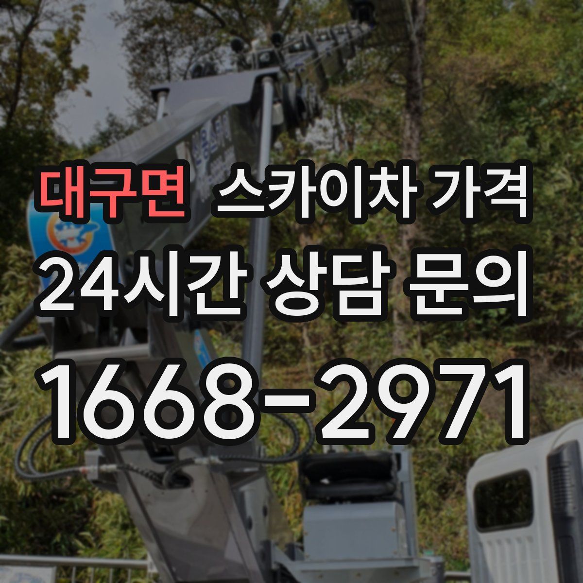 대구면 스카이차 가격