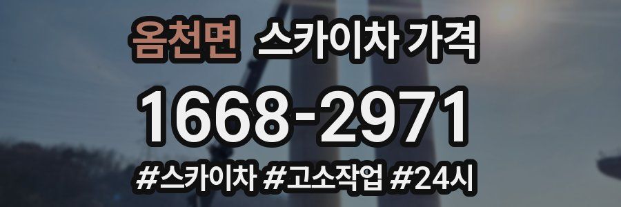 옴천면 스카이차 가격