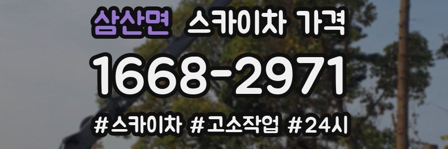 삼산면 스카이차 가격