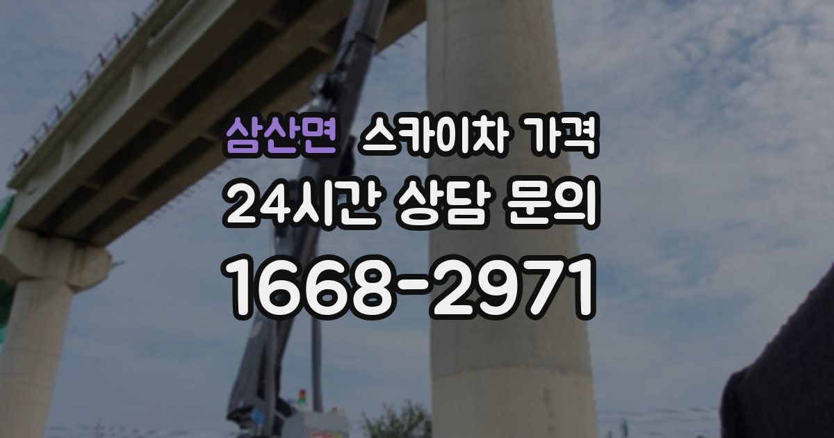 삼산면 스카이차 가격