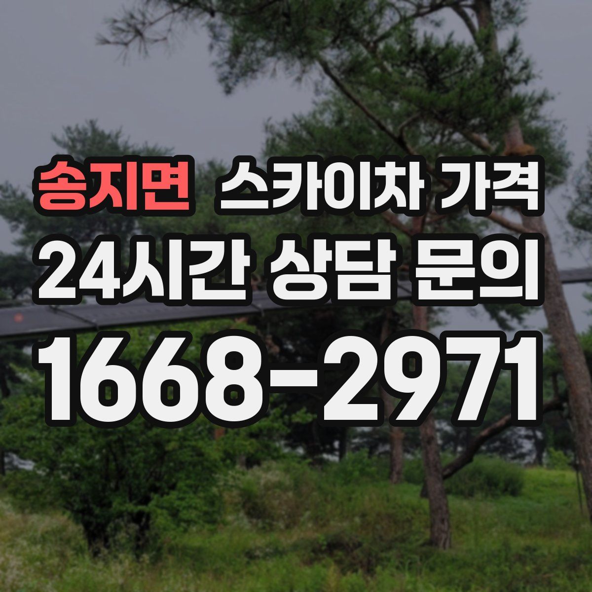 송지면 스카이차 가격