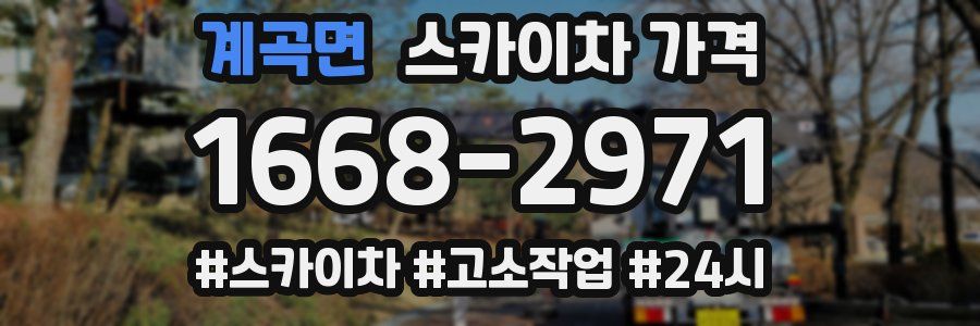 계곡면 스카이차 가격