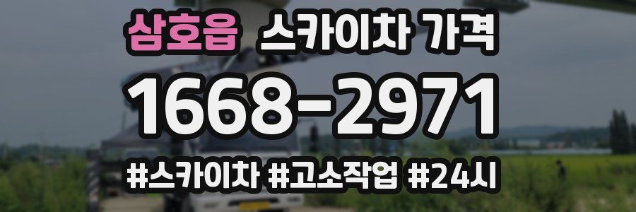 삼호읍 스카이차 가격