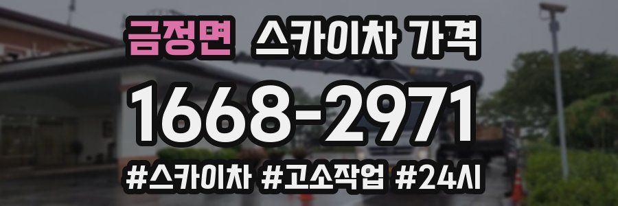 금정면 스카이차 가격