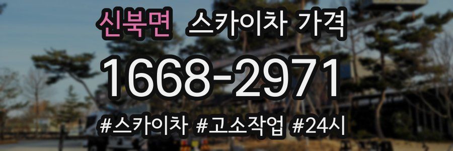 신북면 스카이차 가격