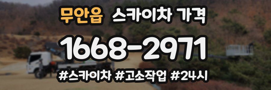 무안읍 스카이차 가격