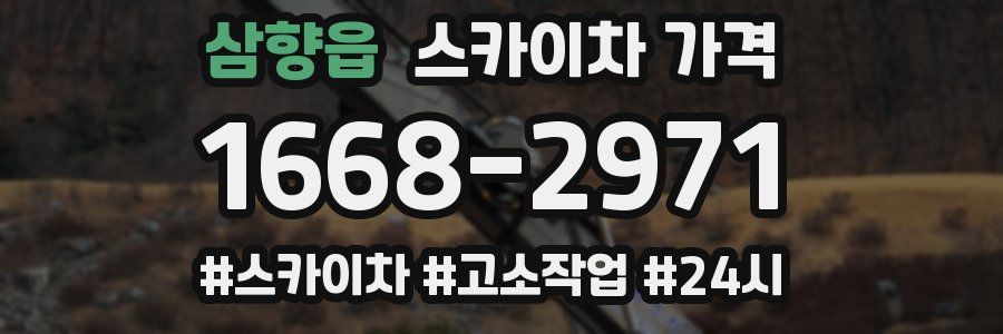 삼향읍 스카이차 가격