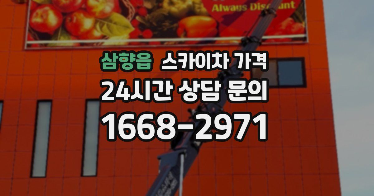 삼향읍 스카이차 가격