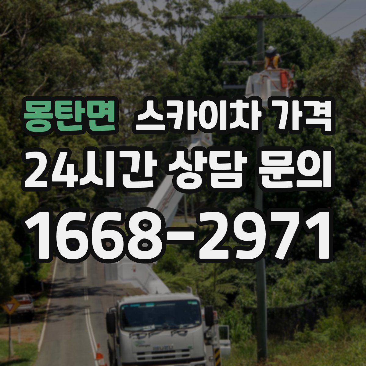 몽탄면 스카이차 가격