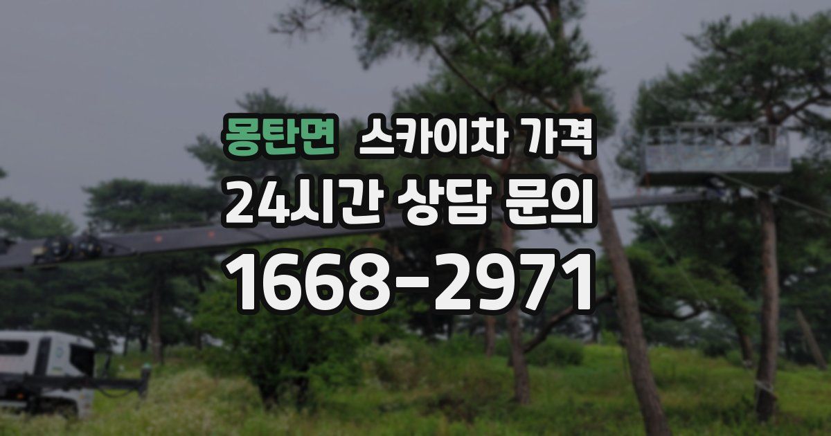 몽탄면 스카이차 가격