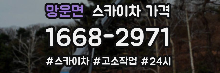 망운면 스카이차 가격