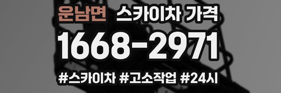 운남면 스카이차 가격