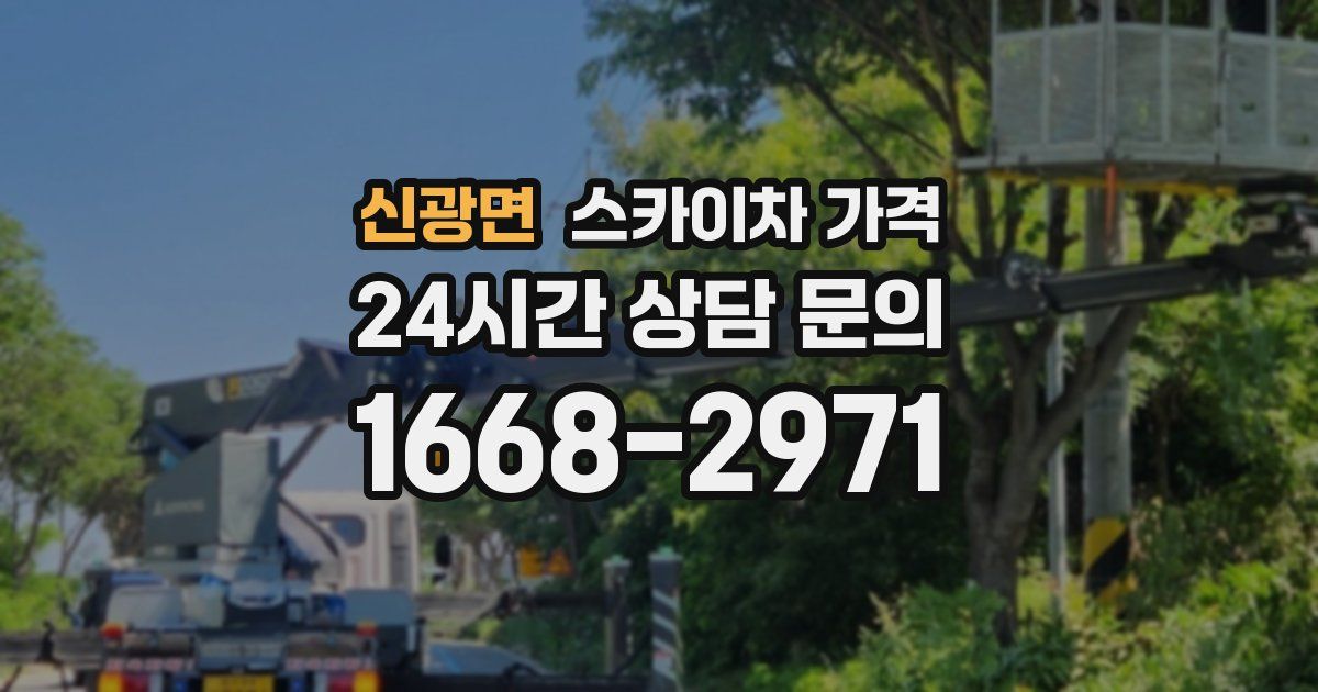 신광면 스카이차 가격