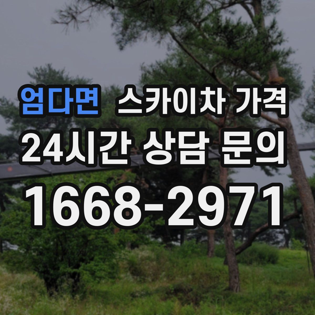 엄다면 스카이차 가격