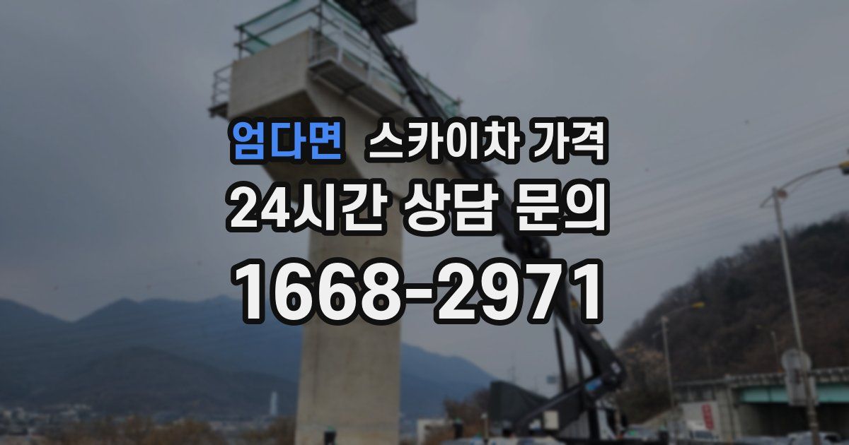 엄다면 스카이차 가격