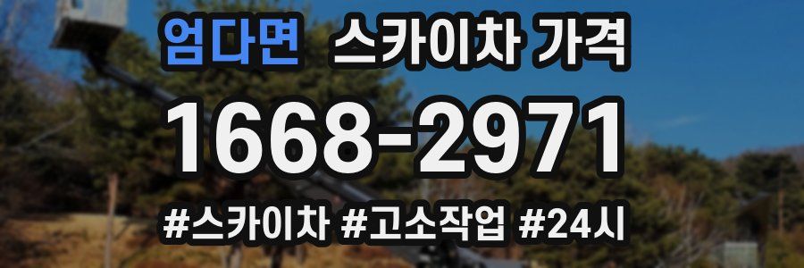 엄다면 스카이차 가격