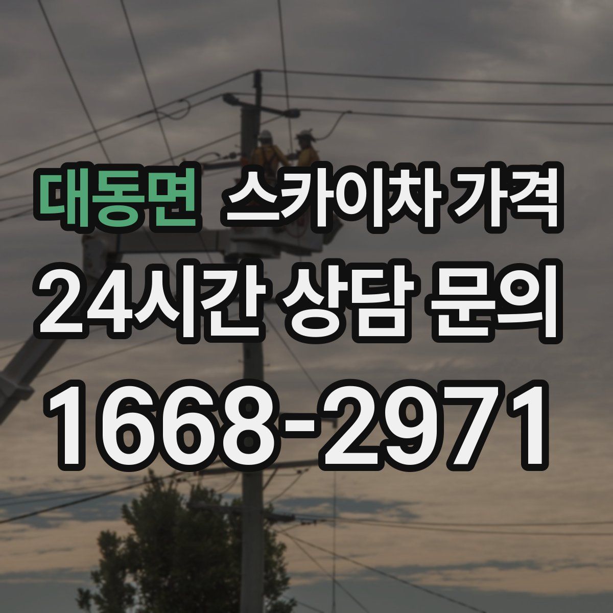 대동면 스카이차 가격