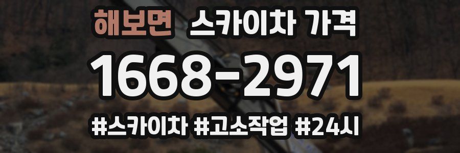 해보면 스카이차 가격