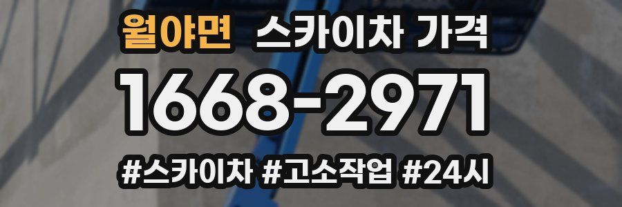 월야면 스카이차 가격