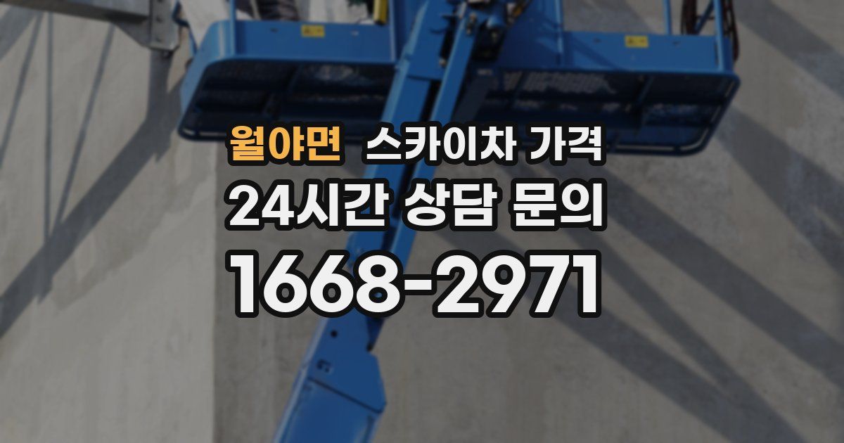 월야면 스카이차 가격