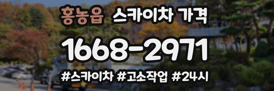 홍농읍 스카이차 가격