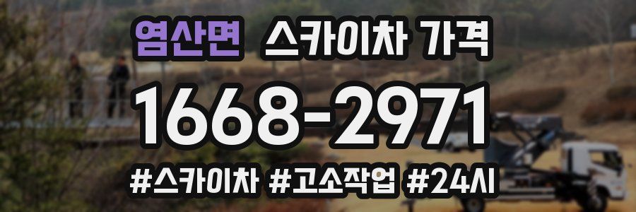 염산면 스카이차 가격