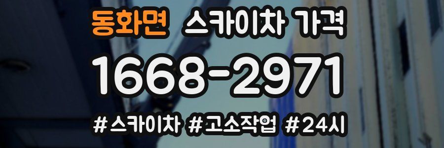 동화면 스카이차 가격