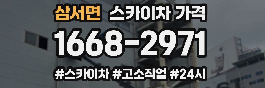 삼서면 스카이차 가격