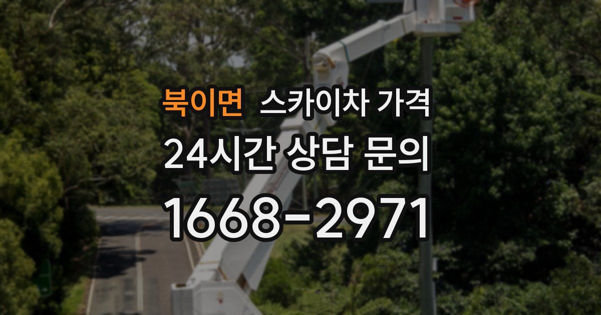 북이면 스카이차 가격