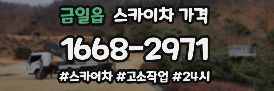 금일읍 스카이차 가격