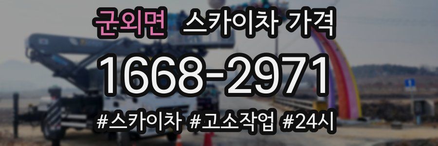 군외면 스카이차 가격