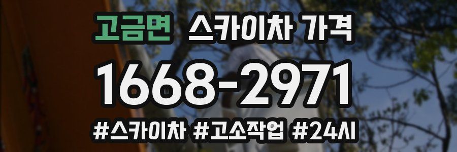 고금면 스카이차 가격