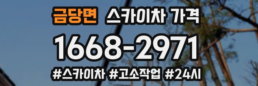 금당면 스카이차 가격