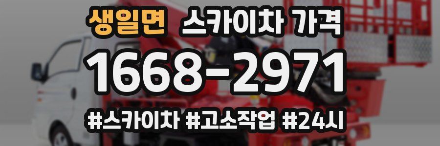 생일면 스카이차 가격