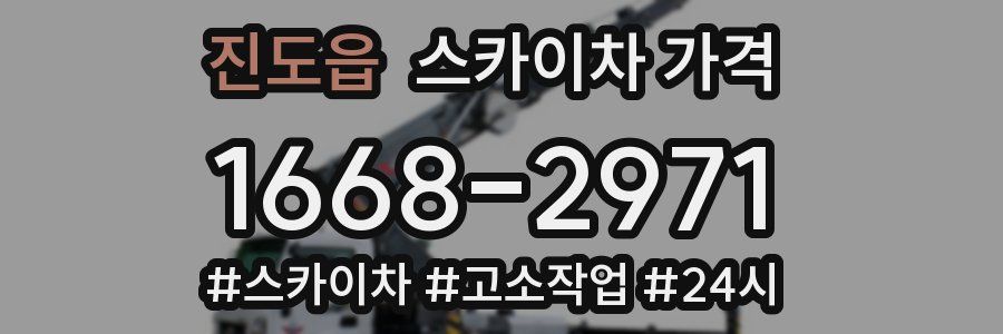 진도읍 스카이차 가격