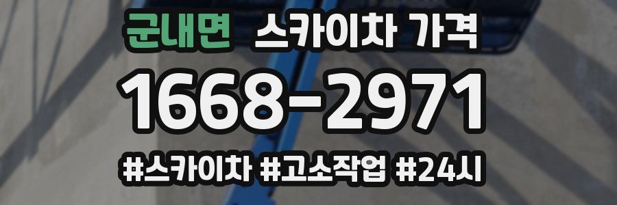 군내면 스카이차 가격