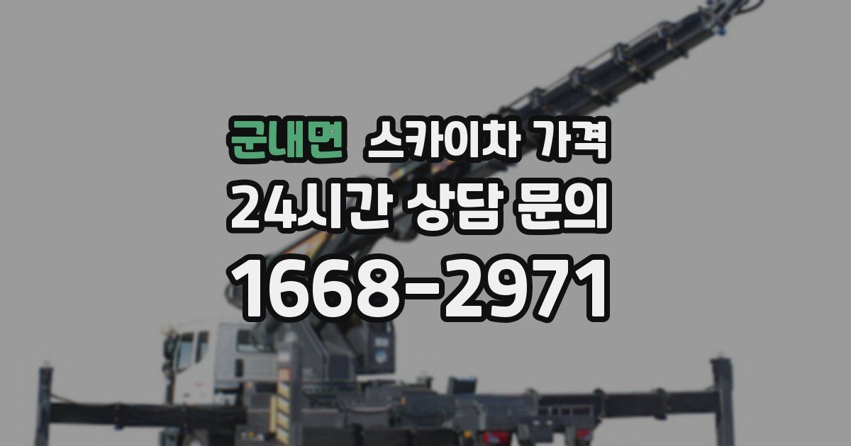 군내면 스카이차 가격